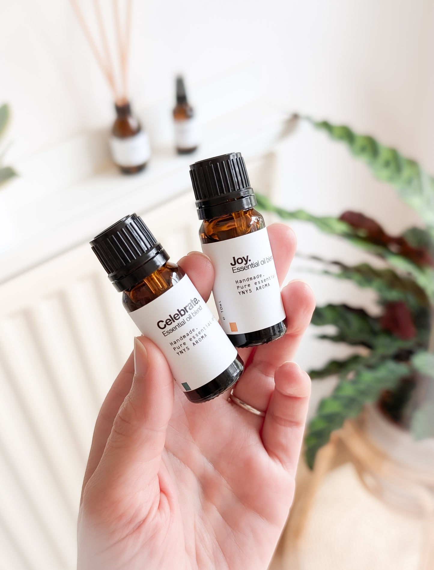 Celebrate Essential Oil Blend