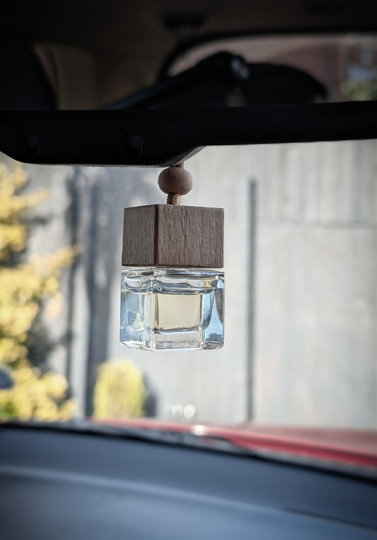 Car Diffuser on a Rope